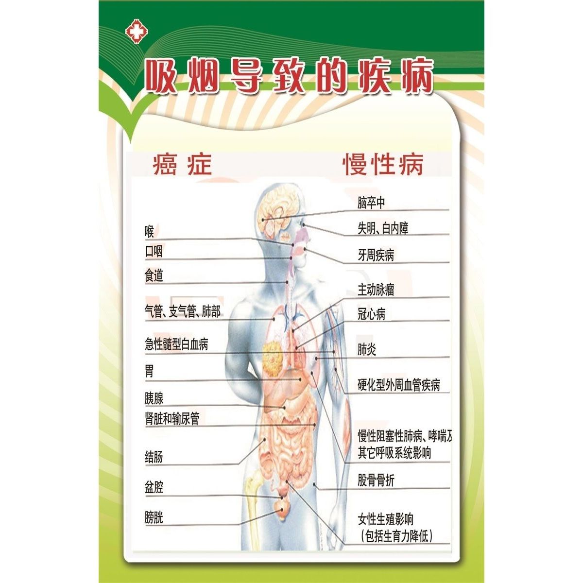 吸烟导致的疾病海报展板戒烟门诊工作制度吸烟的危害墙贴墙纸KT板