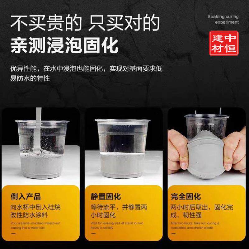 硅烷改性防水涂料屋顶防水补漏材料平房裂缝外墙房顶沥青堵漏王