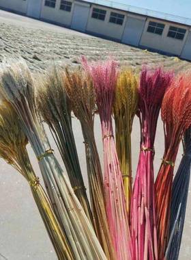 直接橙S染料造纸染料柳编橙色染料木材染料制香造纸水性染料