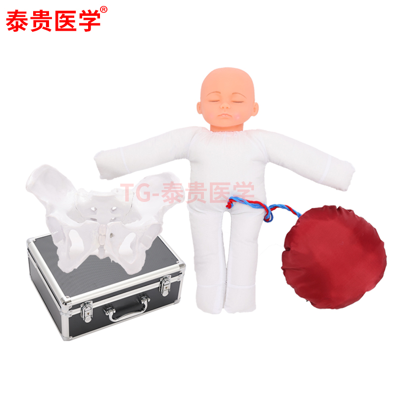 分娩示教骨盆和娃娃模型女性产后修复助产训练胎儿生育医学演示模