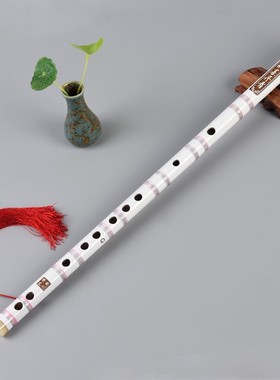 长笛乐器初学者笛子初学成人零基础横笛黑色学生苦竹笛白紫色儿童