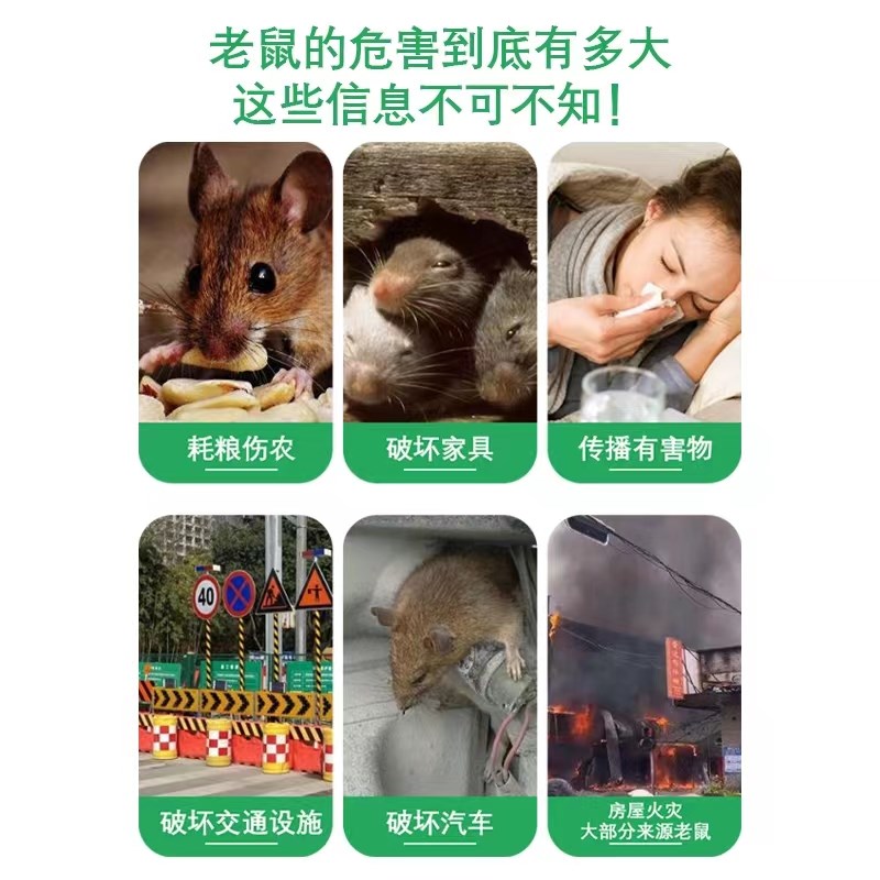 驱鼠丸汽车驱鼠膏强效驱除老鼠干燥剂樟脑丸发动机驱鼠球车居两用