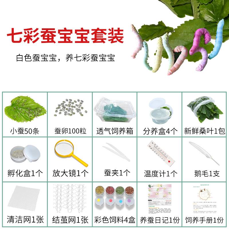 七彩蚕宝宝套装金丝蚕卵新鲜桑叶幼虫活体白色饲料养蚕彩色蚕