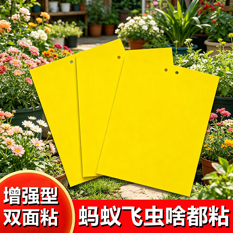黄板双面粘虫板蚂蚁小飞虫粘蝇纸