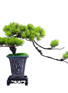 仿真绿植轻奢迎客松小型桌面盆栽室内仿生植物造景装饰摆件假花树