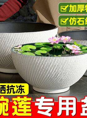 加厚碗莲盆塑料特大号无孔花盆白色铜钱草一叶莲睡莲水培荷花盆缸