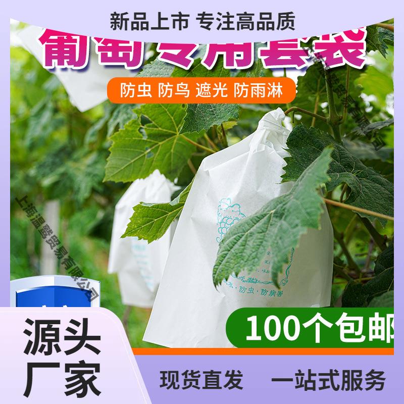 萄纸袋葡萄葡萄袋果袋防水袋子防虫葡萄套袋专用袋专用的葡套育袋