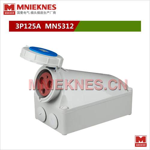 3孔125A工业插座 防水工业插头插座 IP67 5312单相三线2P+E