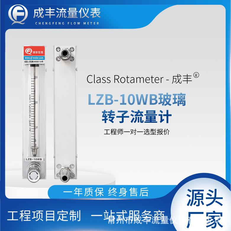 微小流量玻璃转子厂家气体液体氮气流量计精密