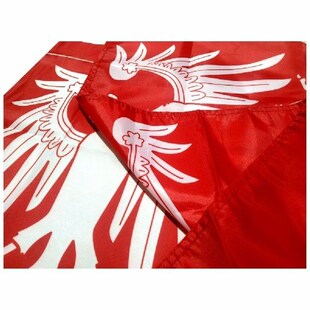 State Silesia Hungarian Dalmat 3X5FT Kingdom Flag 极速Austro