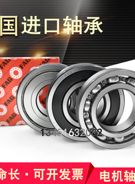 德国进口FAG高速加厚轴承62005 62006 62007 62008 2RSR  2ZR C3