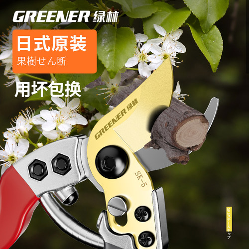 绿林修枝剪果树园艺修枝剪剪树枝专用剪刀花剪花艺枝条剪刀出口