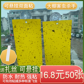粘虫板诱虫黄板果园沾去除果蝇针蜂蓟马灭杀苍蝇蚊子神器纸贴大棚