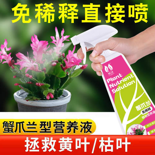 速发蟹爪兰免稀喷营盆液专用肥花卉植物养栽家用长寿花通用直释型