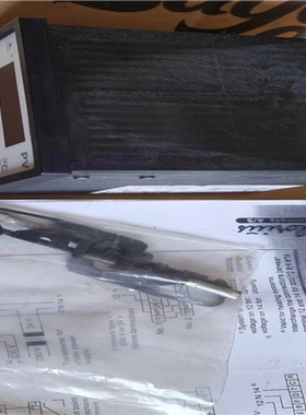 Clorius科罗里斯温控器ER 2000（gg设备）