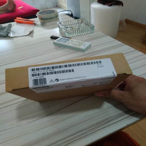 (议价)513-1FL02一个代价的来咯