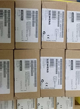 6ES7 131-4BD01-0AA0    年 (崽崽配件）