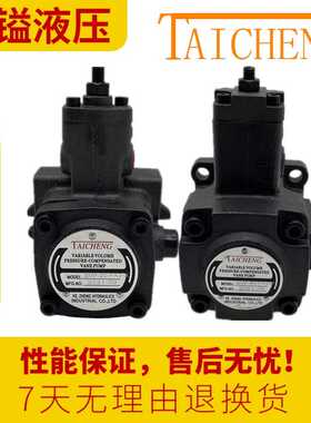 TAICHENG泰成VP-20-FA3油泵SVP-40/30-FA3-P叶片泵 SVP-15-FA3-X