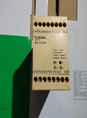 全新原装正品TLESE 安全继电器 RS-NAGK 24VAC现货