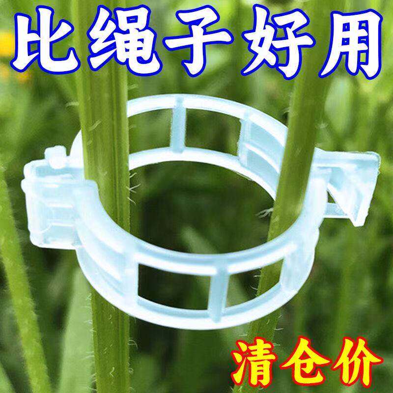 藤蔓卡扣葡萄爬藤蔬菜矫正牵引扣花盆大棚菜园绿植枝干扶蔓固定夹