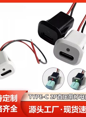 Type-C母座2P注胶带灯直压式 台灯改装DIY电动车汽车椭圆带线充电
