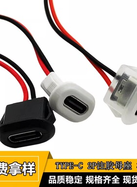 TYPE-C母座2P注胶 直压式 台灯椭圆充电口 电动车 汽车usb连接器