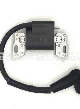 593872 高压包 点火线圈 适用798534 799582 595009 08P502发动机