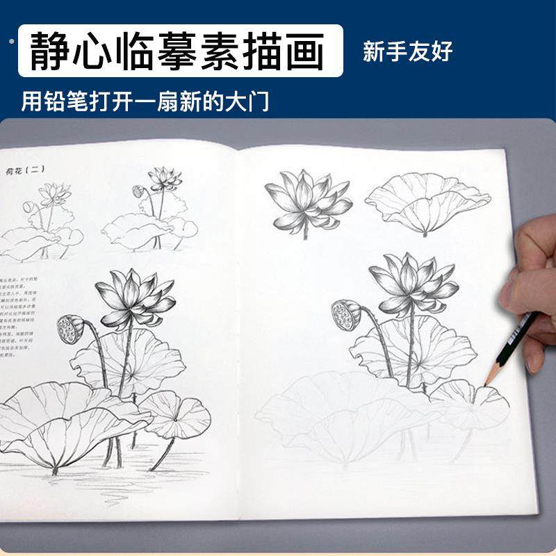 成人解压静心画画花卉动物速写描摹本零基础入门新手素描线描临摹