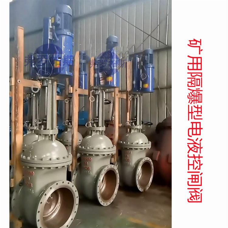 矿用隔爆型电液防水闸阀ZDYF-DN250 DN200 PN100电动装置电压AC66