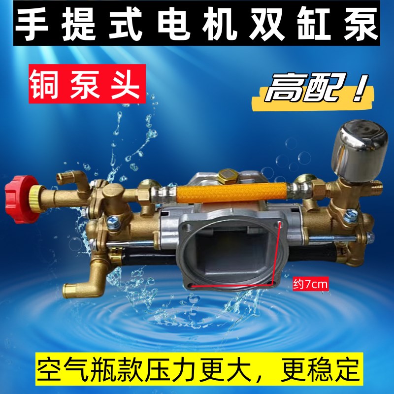 220V手提式电机18型双缸柱塞水泵头总成1.1KW小型果树打药机喷雾