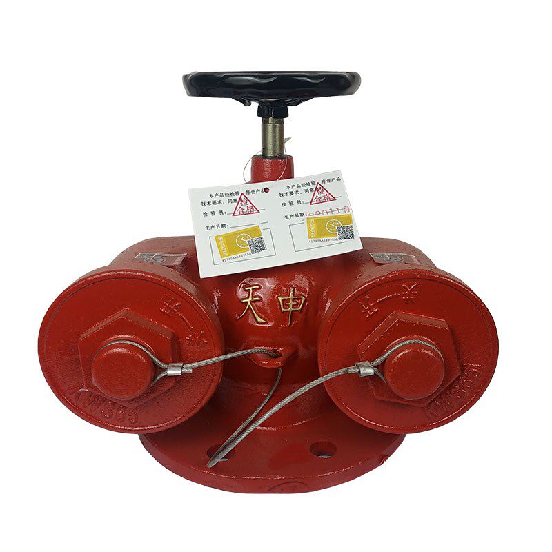 SQD100-1.6多功能水泵接合器新型水泵结合器150消防水泵结合器