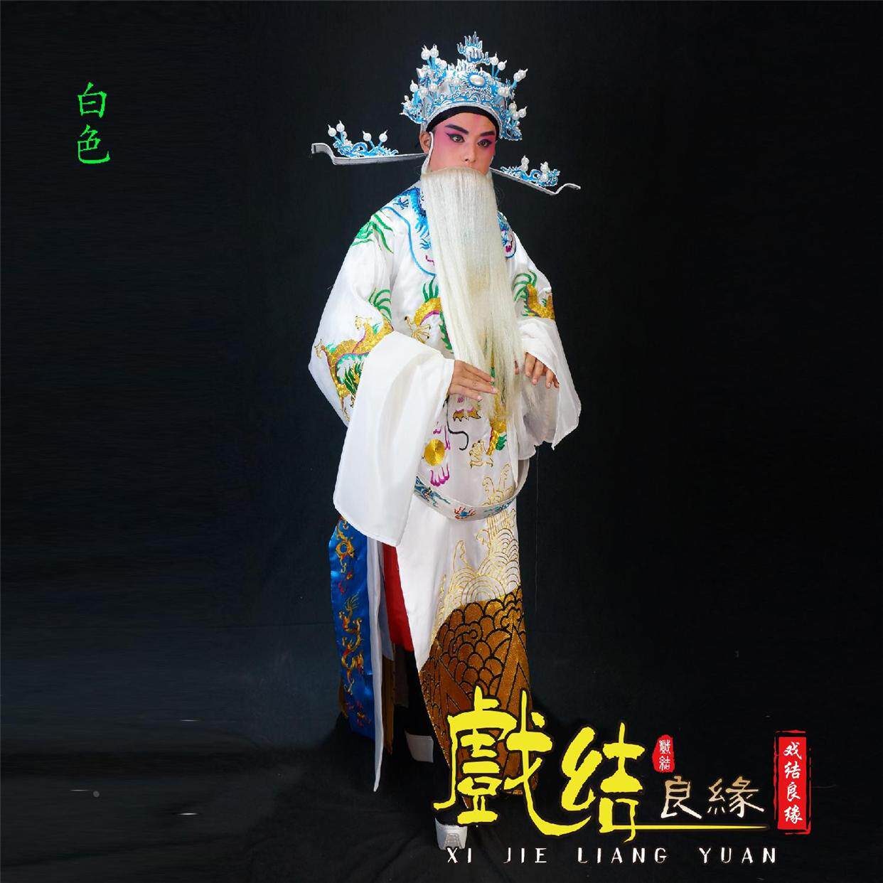 古装戏服大龙蟒袍京剧越剧戏曲服装皇帝衣服王爷丞相龙袍