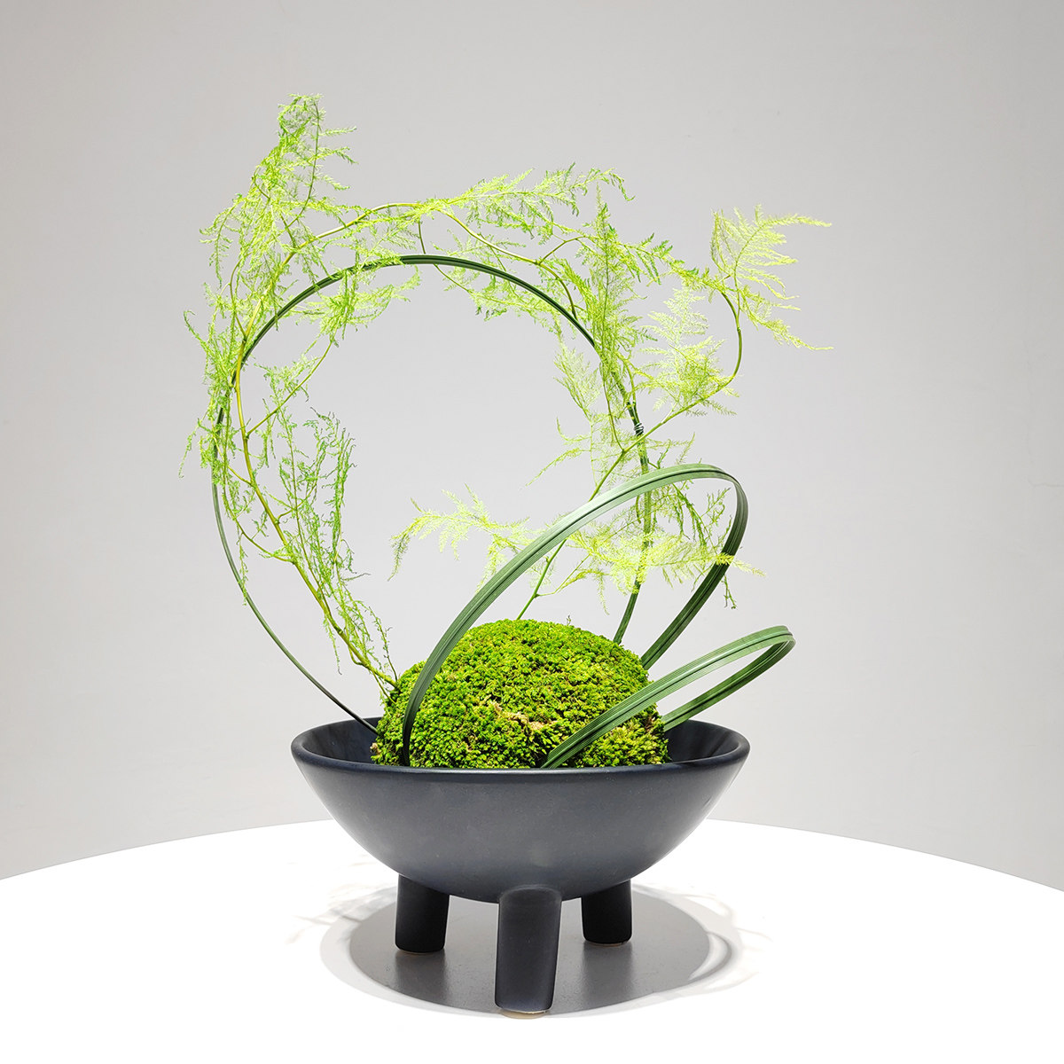 新中式绿植禅意永生苔藓仿真文竹盆景盆栽客厅餐桌现代装饰花摆件