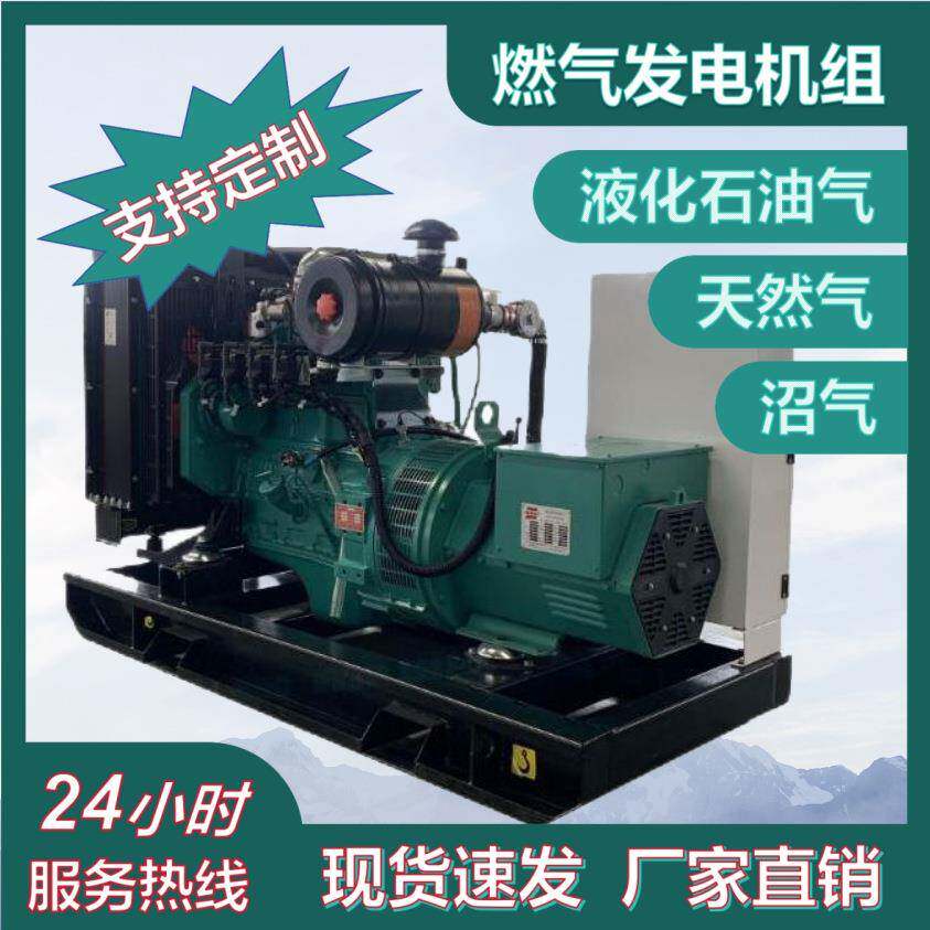 生物质气化发电机组500kw秸秆养殖粪便沼气发电机组热电联产