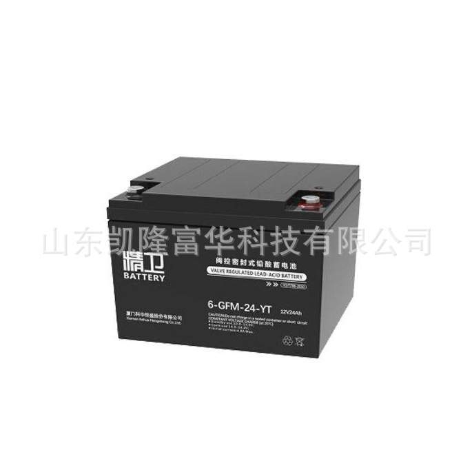 6GFM24YT免维护铅酸电池精卫12V24AH直流屏 UPS应急科华蓄电池