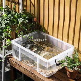 乌龟周转箱家用过滤造景塑料养龟缸透明生态箱亚克力生物养殖箱子