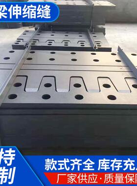 公路桥梁模数式伸缩缝d80型mzl-160240型毛勒伸缩缝