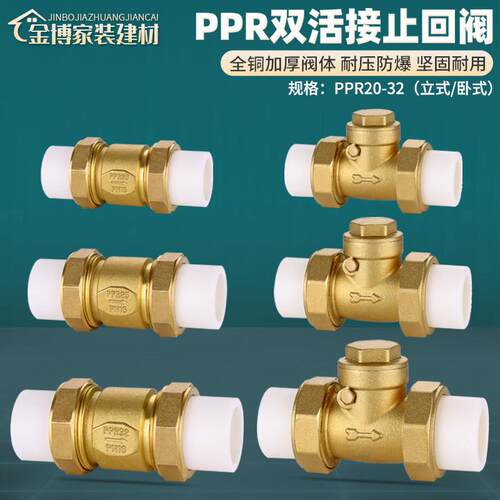 全铜PPR止回阀卧立式双活接止逆阀逆止4分6分20 25自来水管表热熔