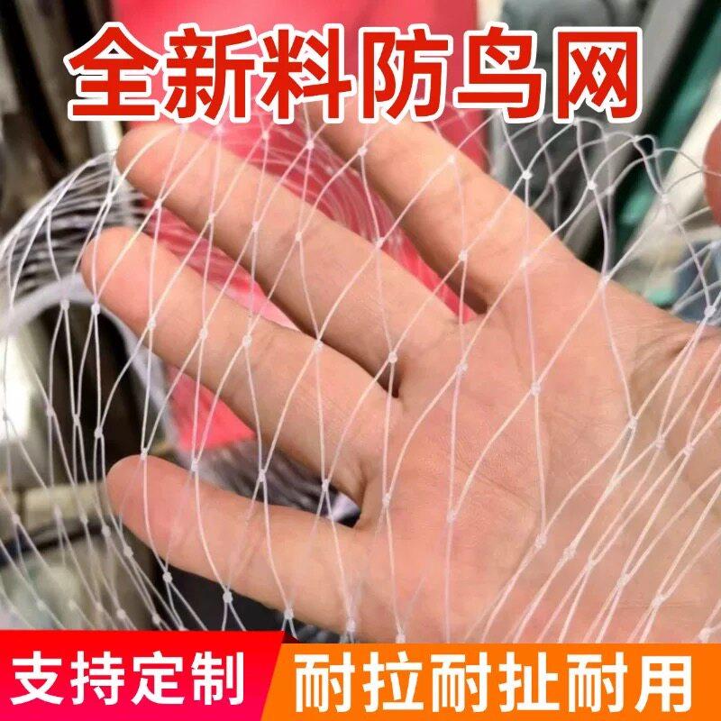 农用防鸟网尼龙加厚抗老化果园大棚菜地草莓樱桃专用网厂家直销