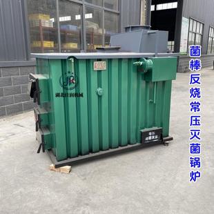 食用菌常压灭菌锅炉香菇平菇菌棒柴煤产汽炉卧式蒸汽锅炉