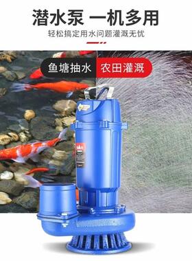上机海人民潜水泵220V单寸相用抽家水3寸4VLT农用高扬程灌溉排污