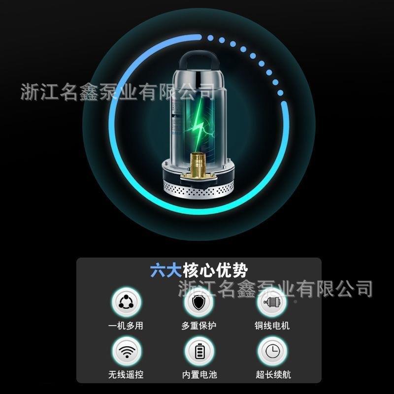 流潜水1PML2V充电式水泵浇菜浇地浇直花农地灌溉抽水泵不锈钢泵泵
