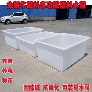 大号加牛筋厚塑料水箱长箱牛方形843周转箱水产养殖养鱼筋箱推布