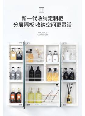 智能浴室子洗ZG-64531镜柜日式浴镜箱卫生间手间镜挂室墙式