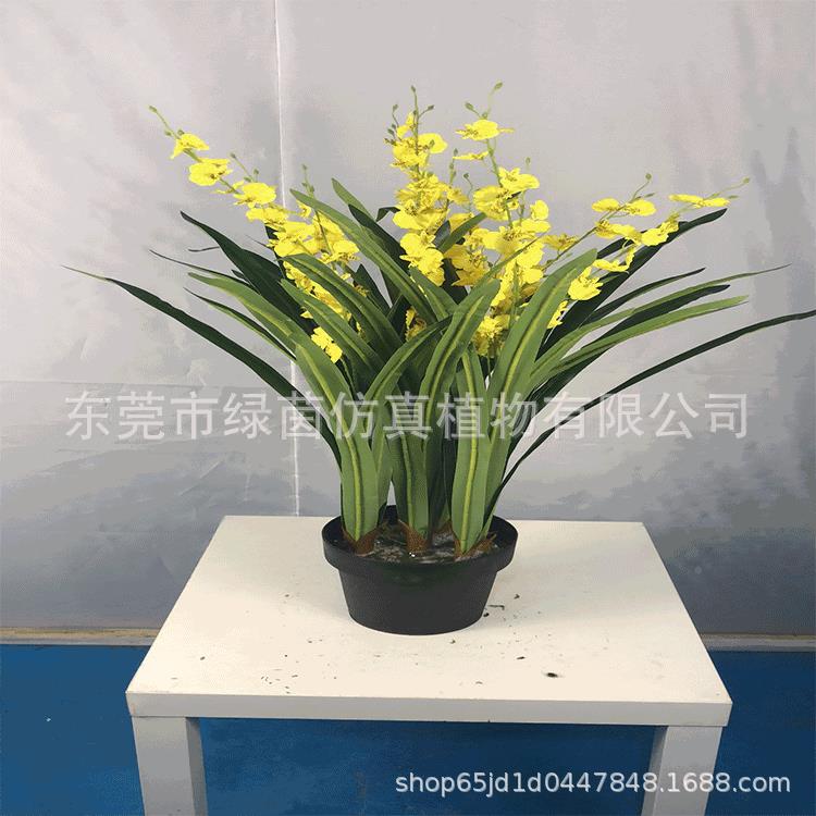 仿真盆瘤景跳舞兰LV127绿植文心兰盆栽舞女兰摆件金蝶兰造型瓣兰