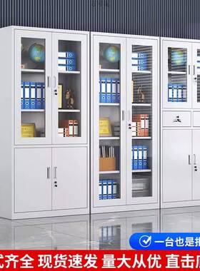 文件室柜档案财务凭证柜更衣柜柜多门钢制铁皮柜子办公带QAA矮整