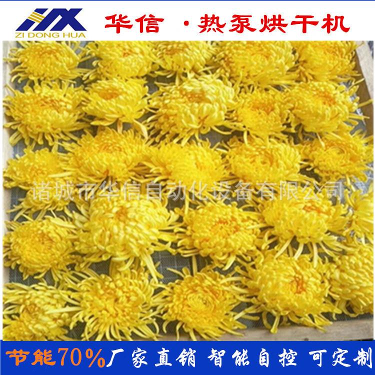 华信新鲜菊花空气能热泵烘干房烘房设备 小型菊花烘干机设备厂家