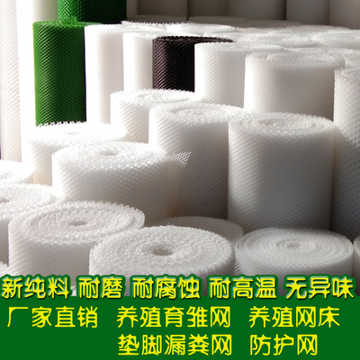 小鸡鹅育雏网床养殖鸡笼垫脚平网鸡舍漏粪围鸭用网子围栏防护塑料