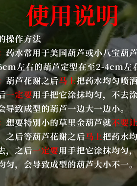 好货迷你葫芦定型水小手捻把件草里金缩小药水小美国蚂蚁八宝挂件