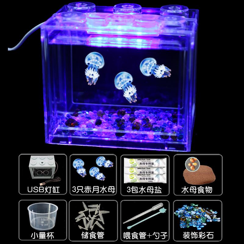 赤月倒立海月水母活物体验缸小型学生礼物非淡水观赏无毒水母宠物